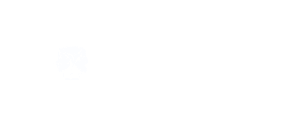 Janus Fire Systems
