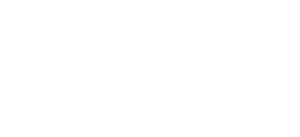 McWane Gulf