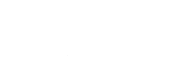 McWane India