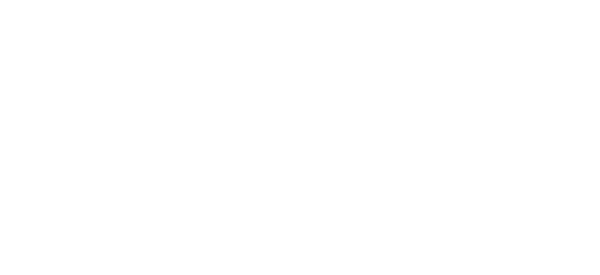 McWane Poles