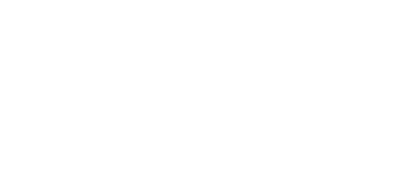 Nighthawk